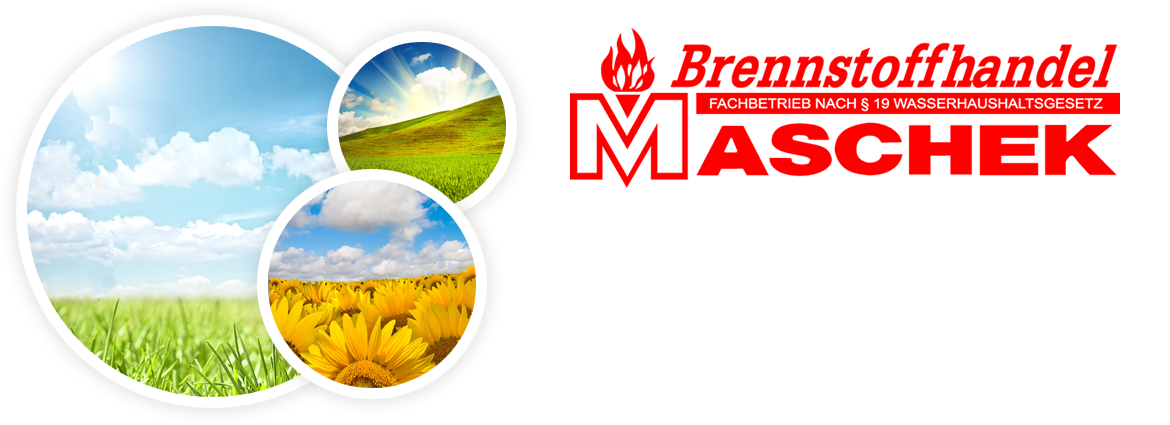 Maschek_Energiesparbuch